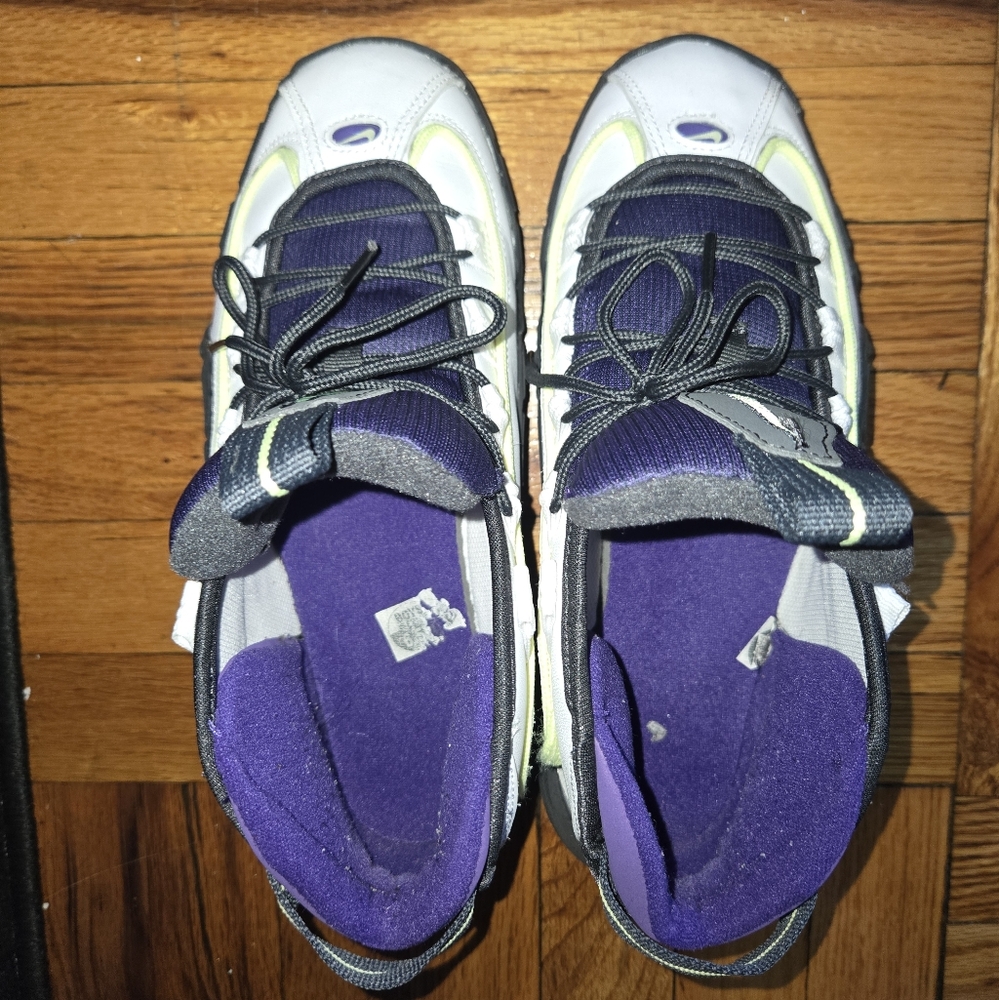 Boys Nike Purple & Gray Nike Sneakers